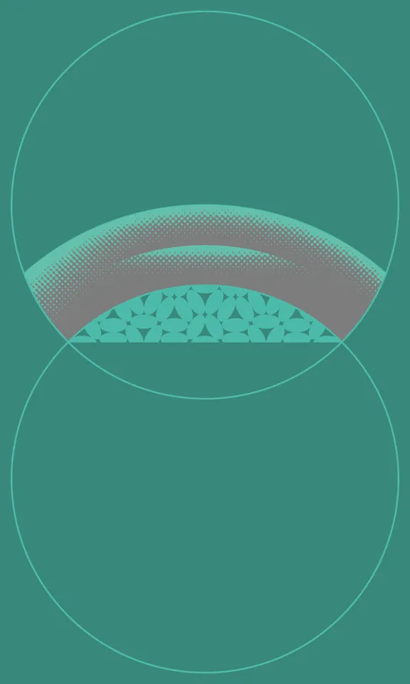 Sushi(Ma-Gr-O), Gray sushi that looks red due to an illusion, graphic design work, Personal, 2025